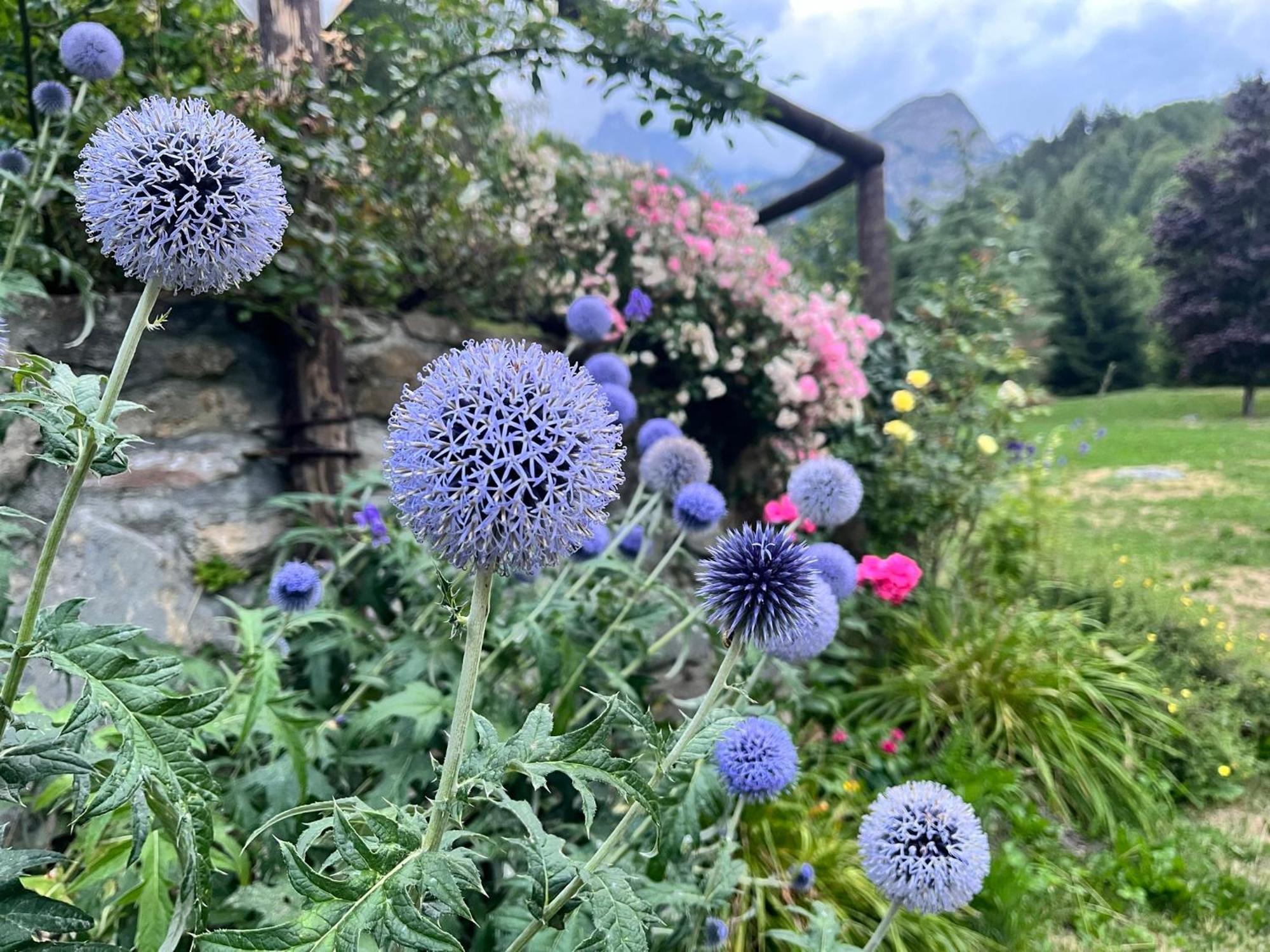 Champex Apartments 普雷圣迪迪埃 外观 照片